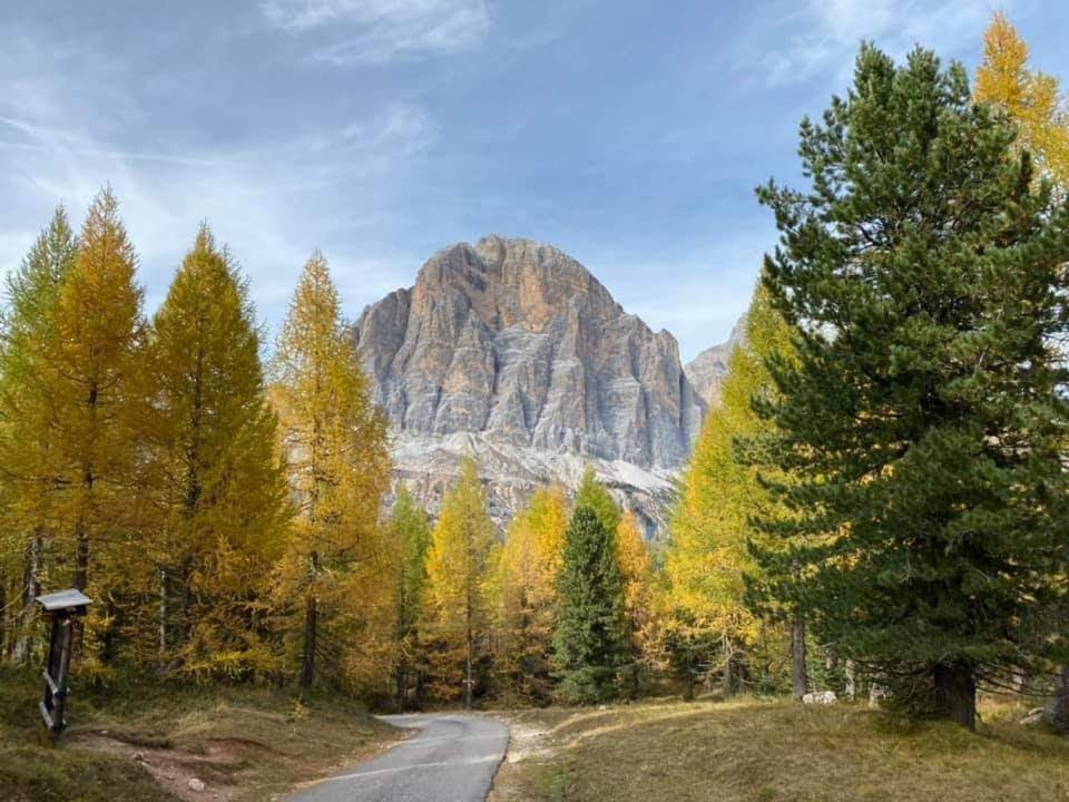 Camere Nordest Sudest- Conca Agordina Агордо Экстерьер фото